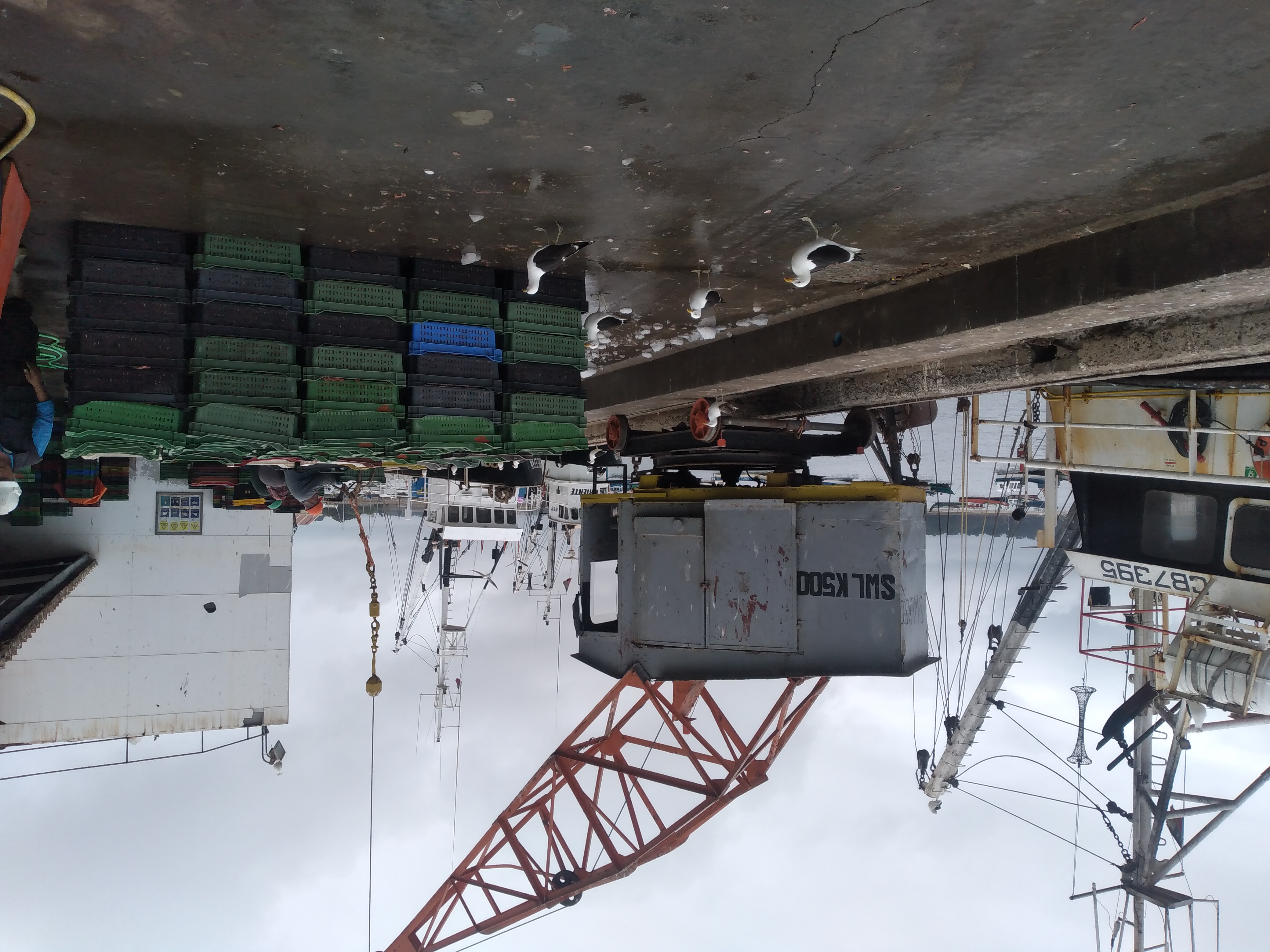 Servicio de Varadero